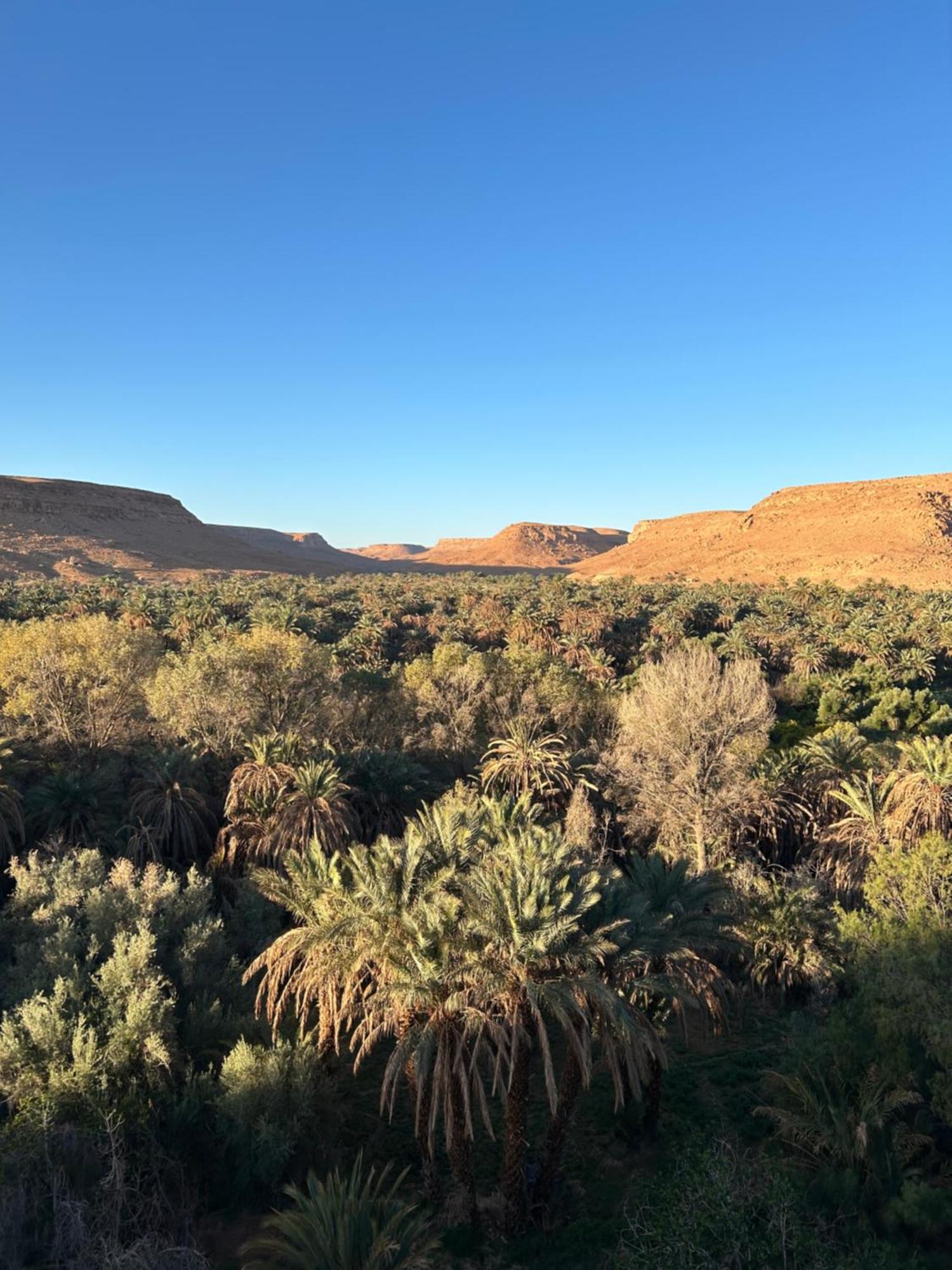 Maison D'Hotes Sahara Aoufous Eksteriør bilde