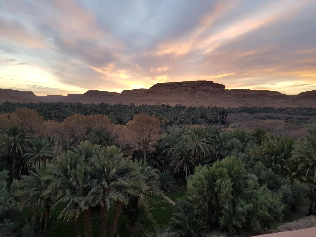 Maison D'Hotes Sahara Aoufous Eksteriør bilde